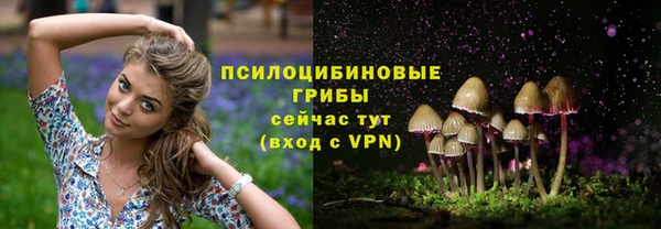 СК Арсеньев